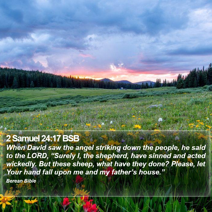 2 Samuel 24:17 BSB Bible Study