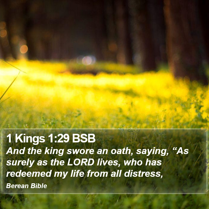 1 Kings 1:29 BSB Bible Study