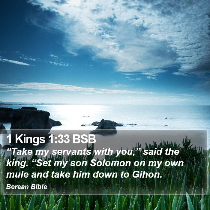 1 Kings 1:33 BSB Bible Study