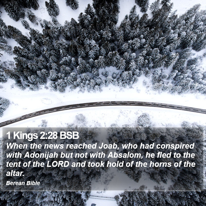 1 Kings 2:28 BSB Bible Study