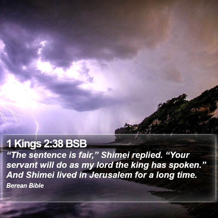 1 Kings 2:38 BSB Bible Study