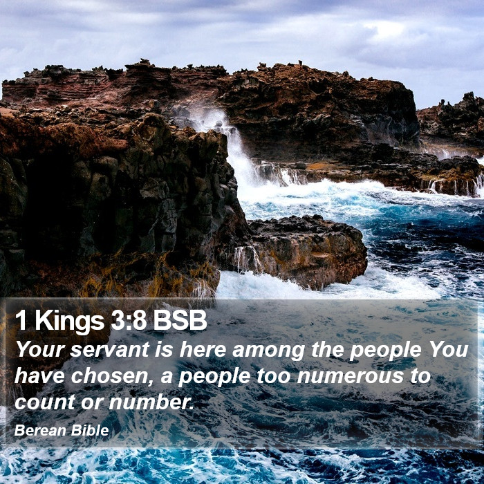 1 Kings 3:8 BSB Bible Study