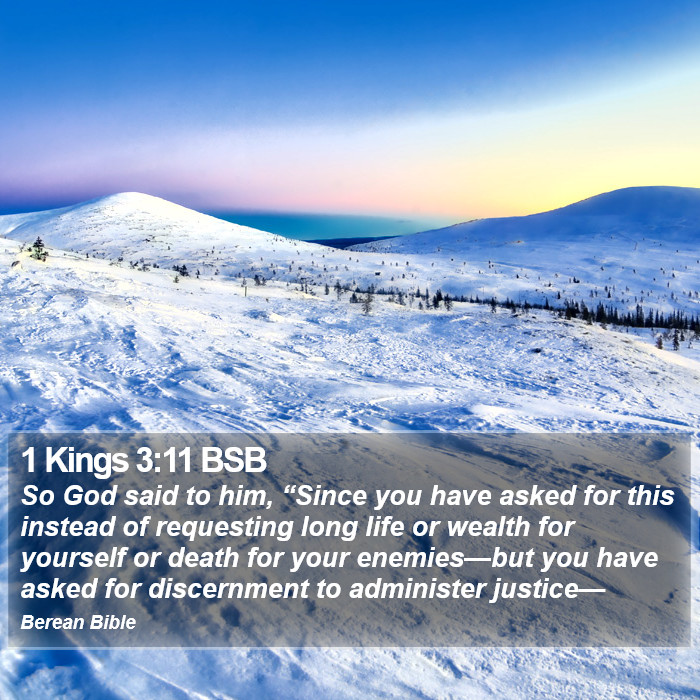 1 Kings 3:11 BSB Bible Study