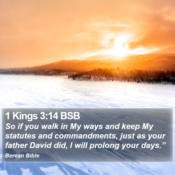 1 Kings 3:14 BSB Bible Study