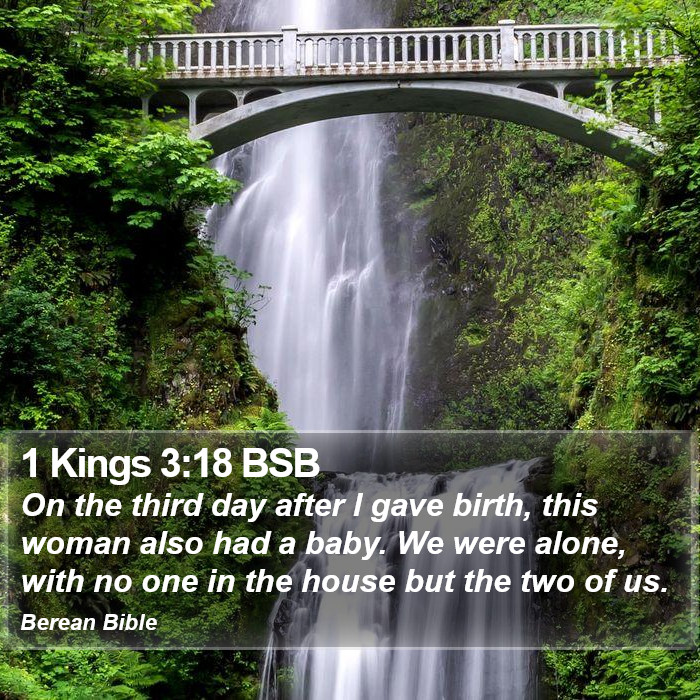 1 Kings 3:18 BSB Bible Study