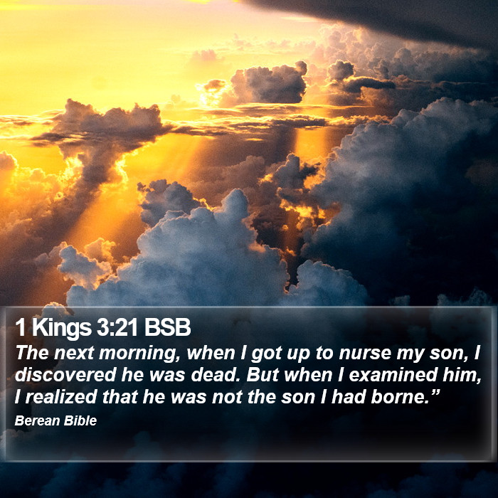 1 Kings 3:21 BSB Bible Study