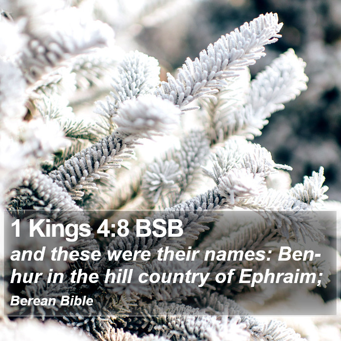 1 Kings 4:8 BSB Bible Study