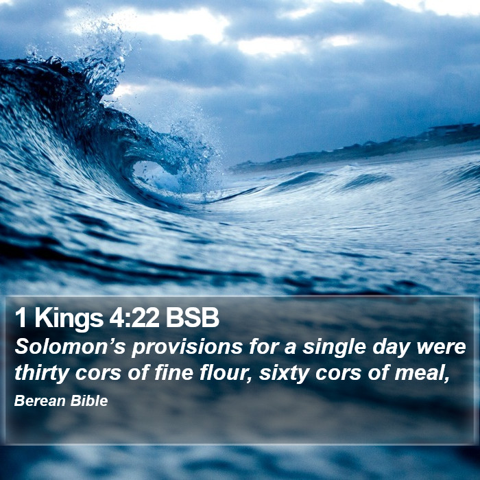 1 Kings 4:22 BSB Bible Study