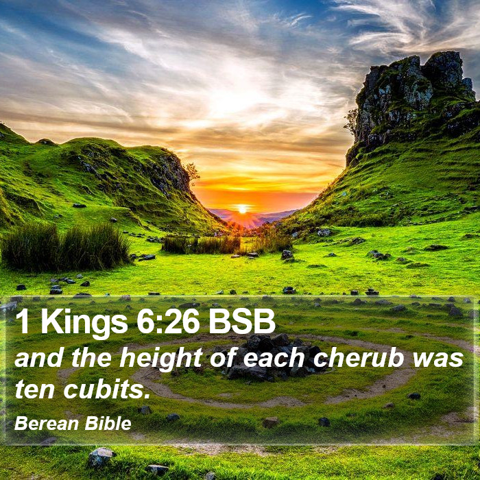 1 Kings 6:26 BSB Bible Study