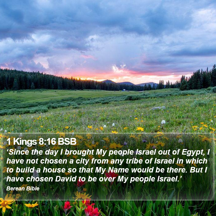 1 Kings 8:16 BSB Bible Study