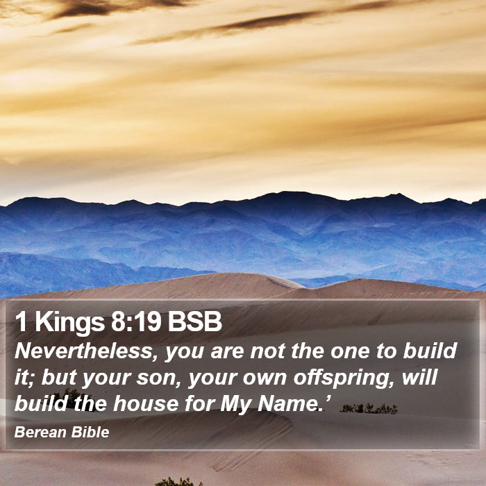 1 Kings 8:19 BSB Bible Study