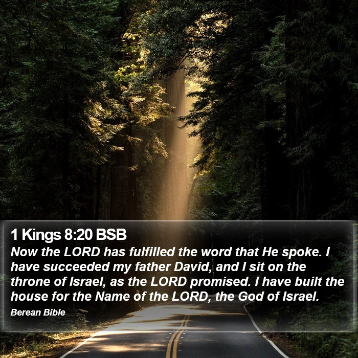 1 Kings 8:20 BSB Bible Study