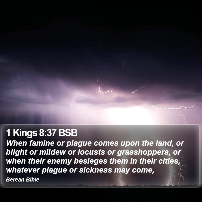 1 Kings 8:37 BSB Bible Study