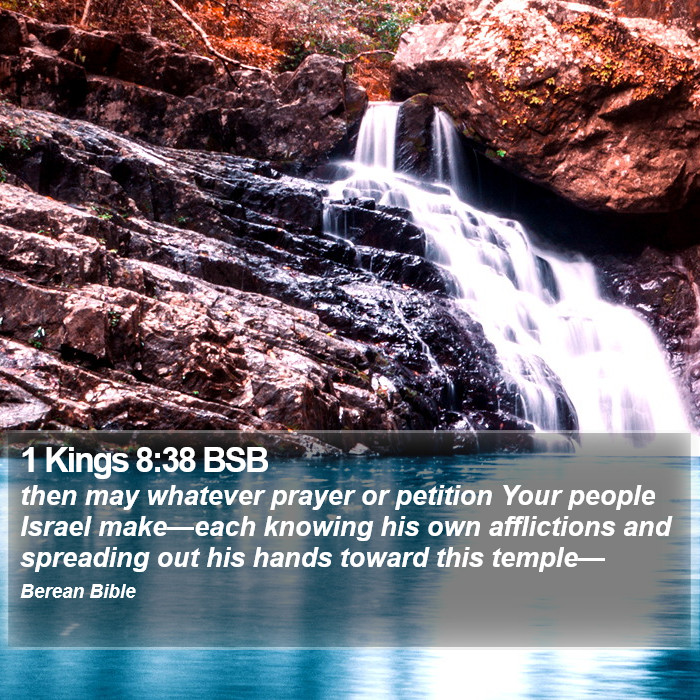 1 Kings 8:38 BSB Bible Study