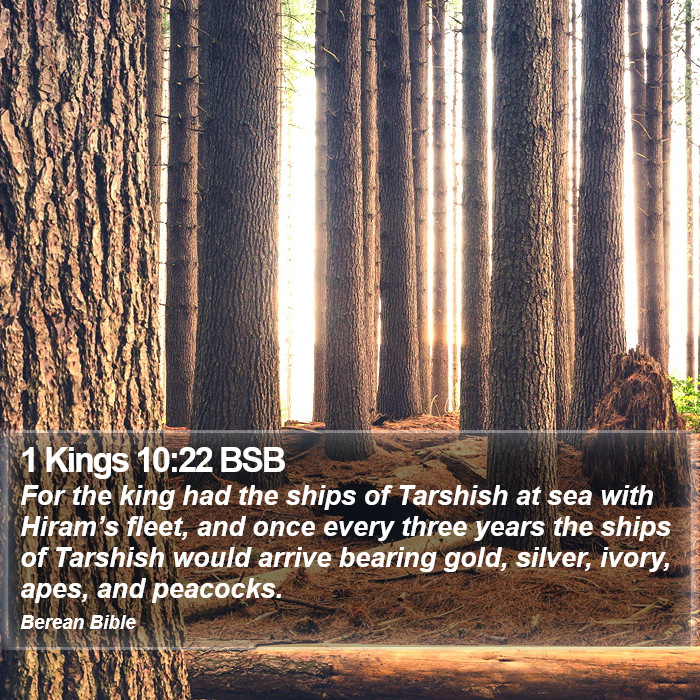 1 Kings 10:22 BSB Bible Study