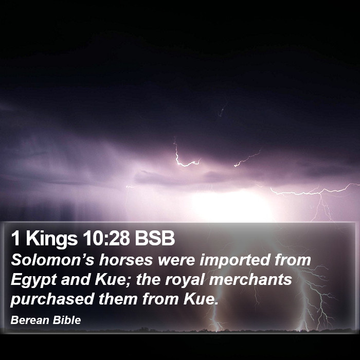 1 Kings 10:28 BSB Bible Study