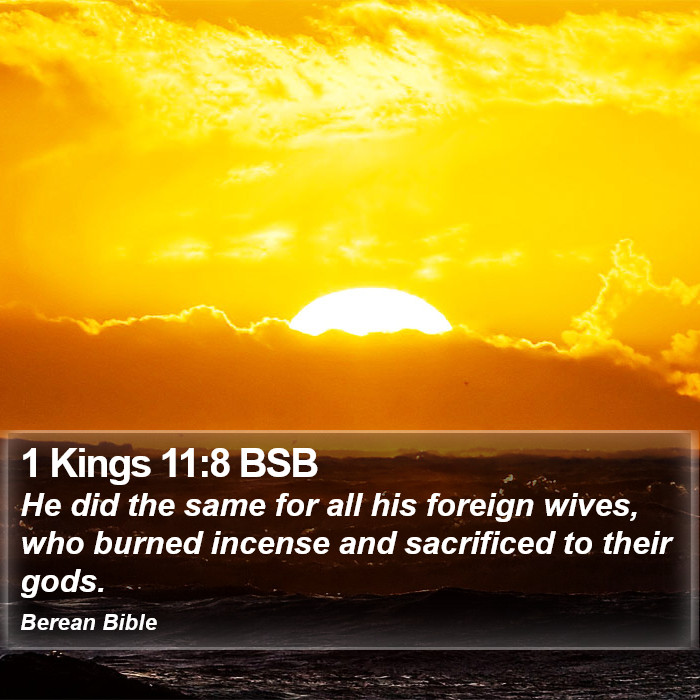 1 Kings 11:8 BSB Bible Study