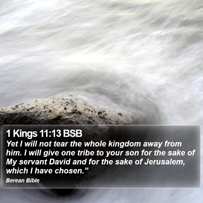 1 Kings 11:13 BSB Bible Study