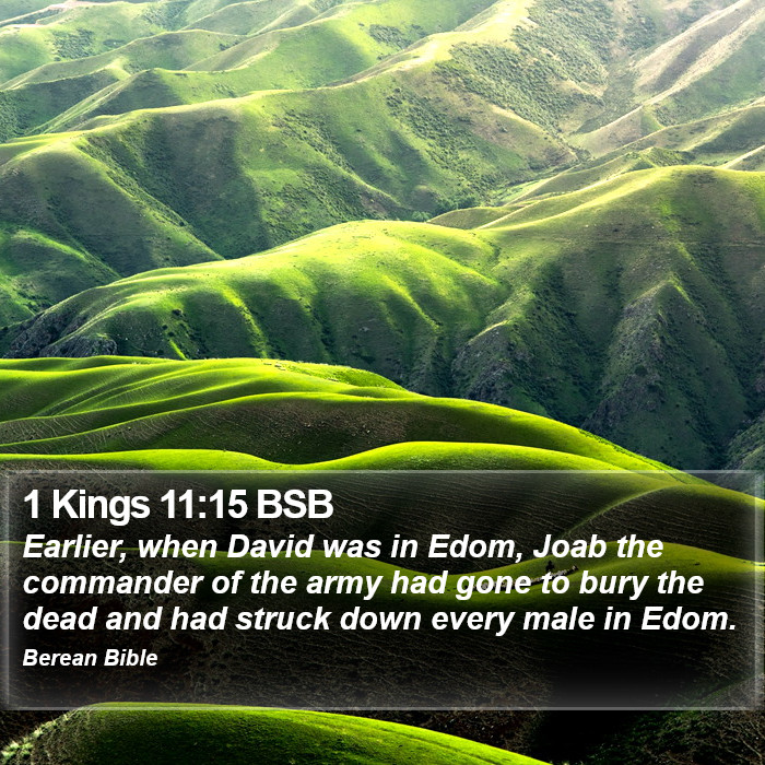 1 Kings 11:15 BSB Bible Study