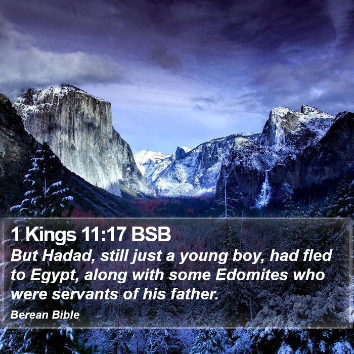 1 Kings 11:17 BSB Bible Study