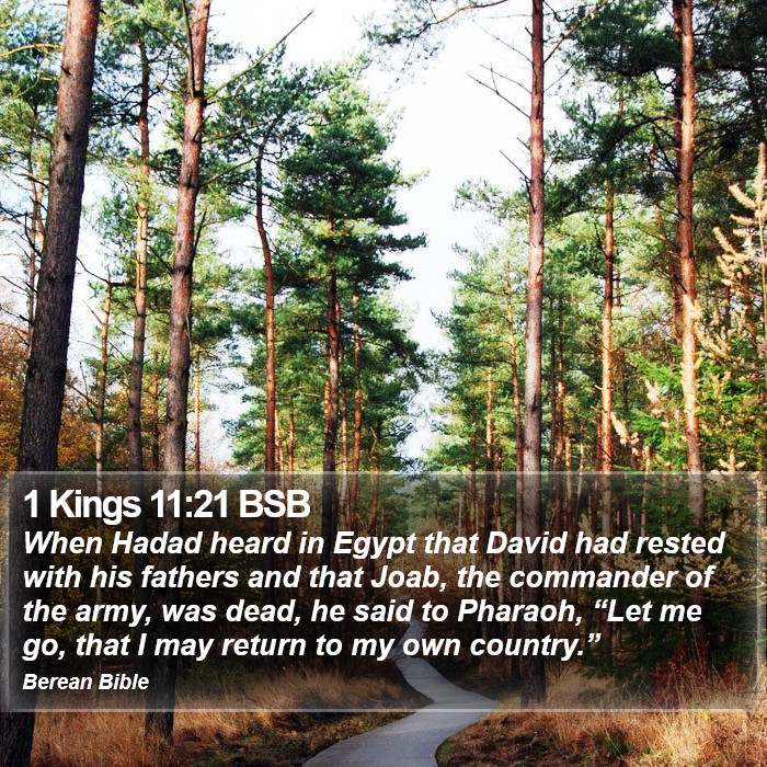 1 Kings 11:21 BSB Bible Study