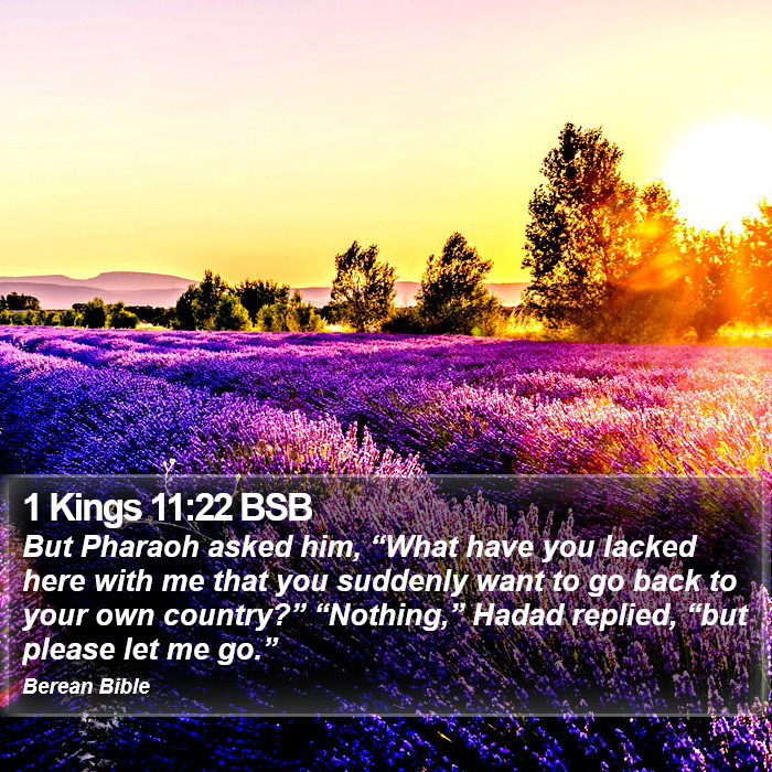 1 Kings 11:22 BSB Bible Study