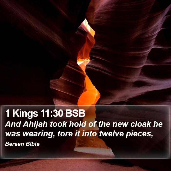 1 Kings 11:30 BSB Bible Study