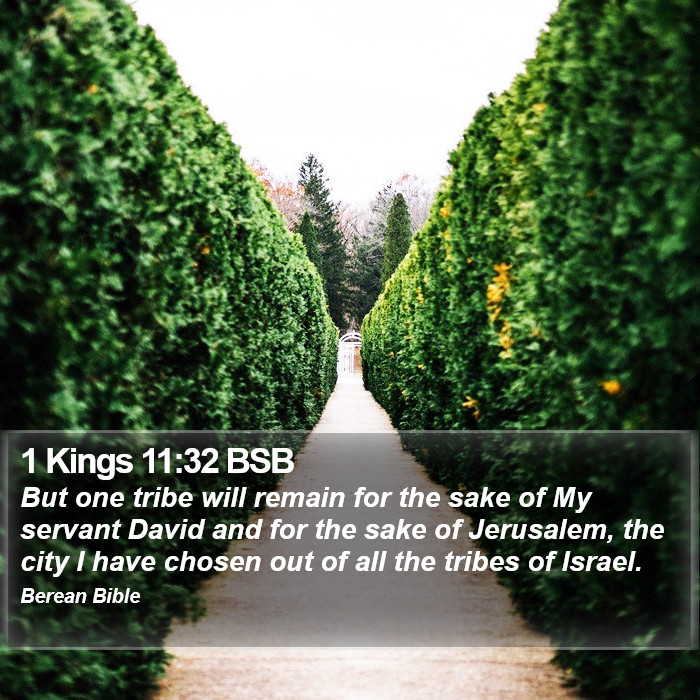 1 Kings 11:32 BSB Bible Study