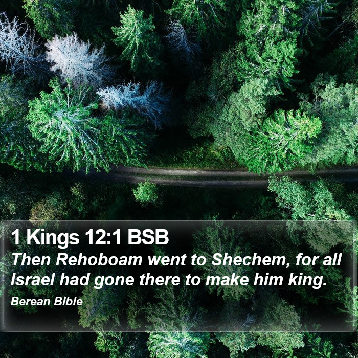 1 Kings 12:1 BSB Bible Study