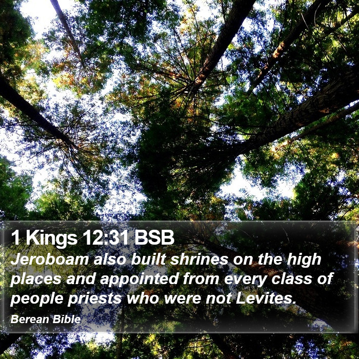 1 Kings 12:31 BSB Bible Study