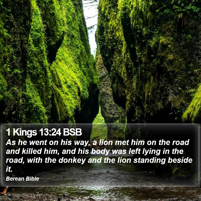 1 Kings 13:24 BSB Bible Study