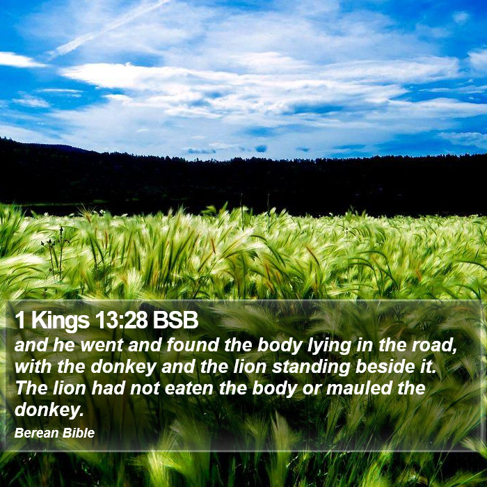 1 Kings 13:28 BSB Bible Study