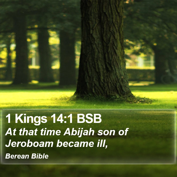 1 Kings 14:1 BSB Bible Study