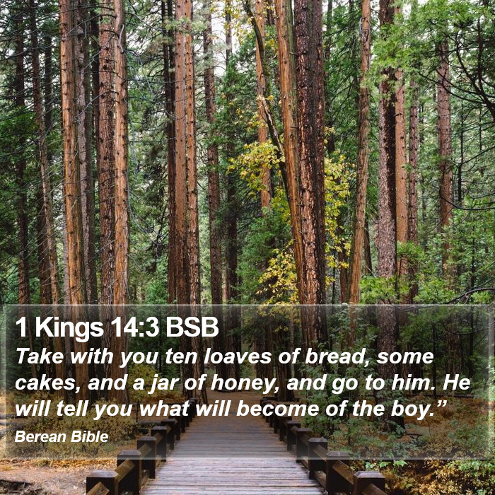 1 Kings 14:3 BSB Bible Study