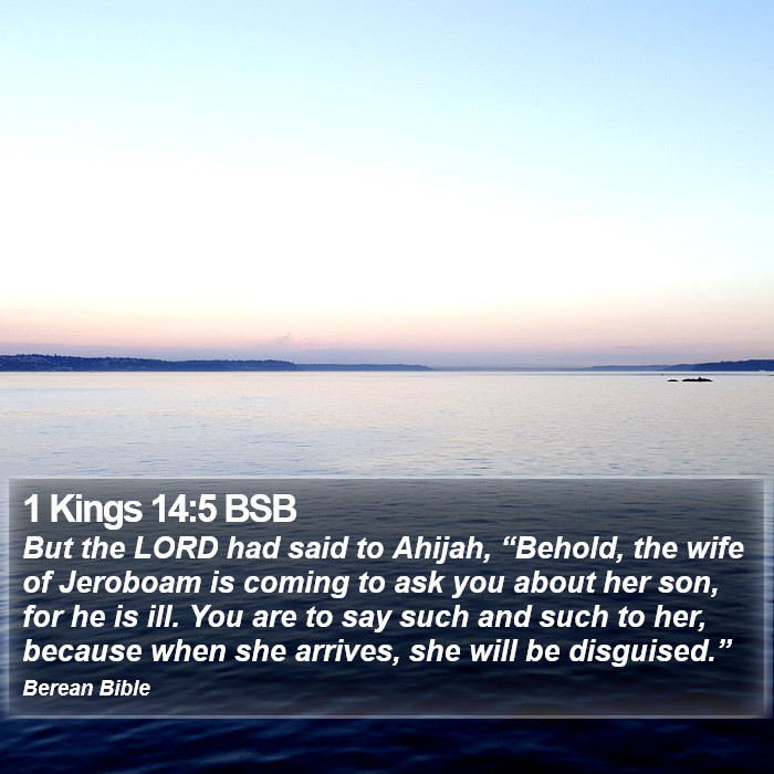 1 Kings 14:5 BSB Bible Study