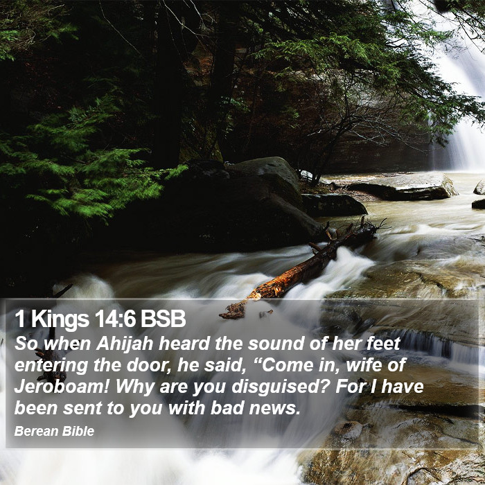 1 Kings 14:6 BSB Bible Study