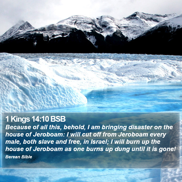 1 Kings 14:10 BSB Bible Study