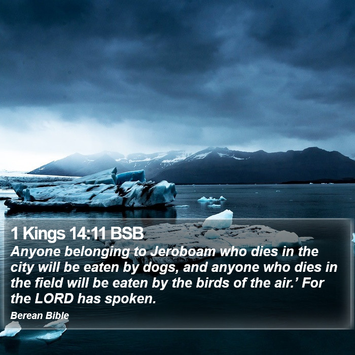 1 Kings 14:11 BSB Bible Study