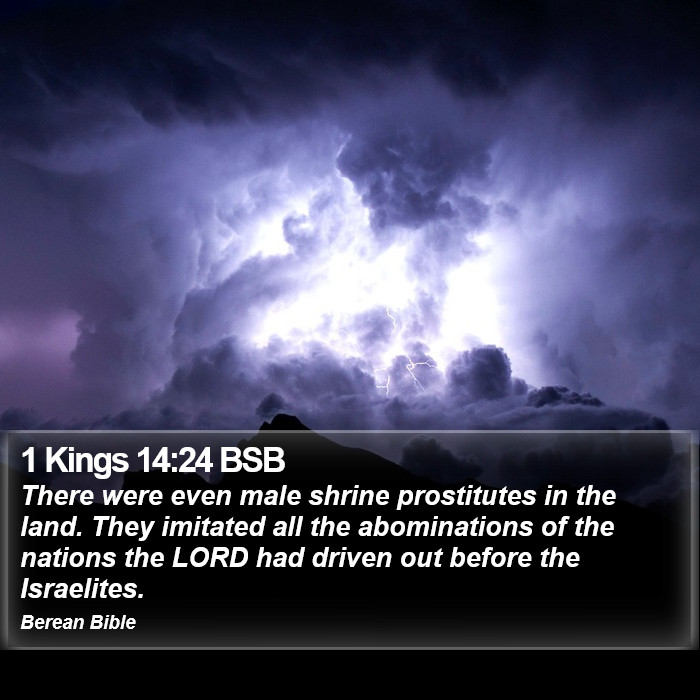 1 Kings 14:24 BSB Bible Study