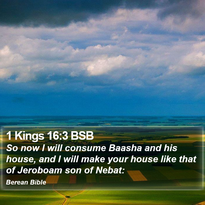 1 Kings 16:3 BSB Bible Study