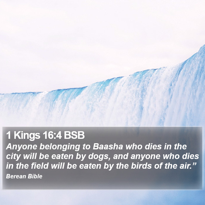 1 Kings 16:4 BSB Bible Study