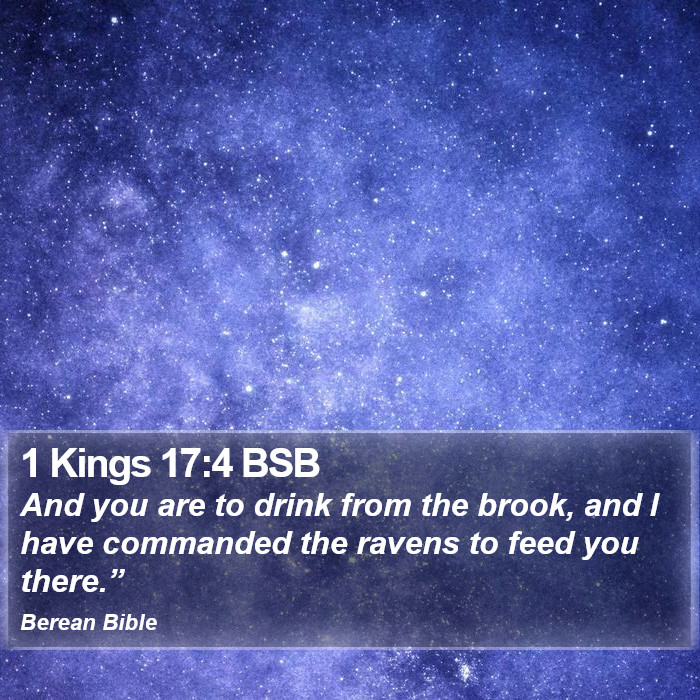 1 Kings 17:4 BSB Bible Study