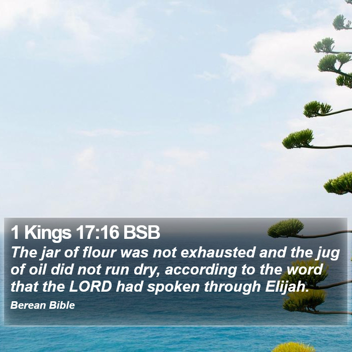 1 Kings 17:16 BSB Bible Study