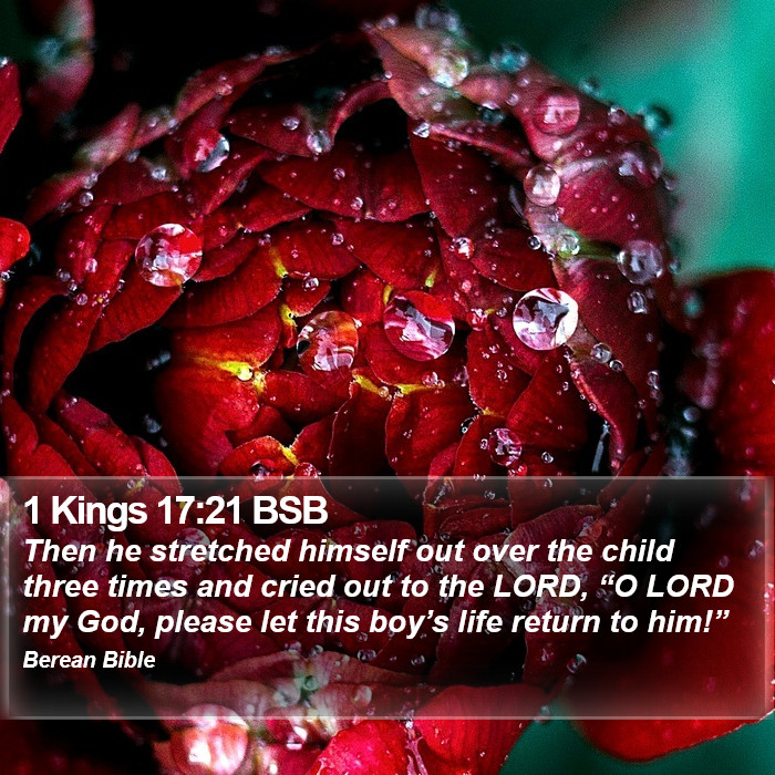 1 Kings 17:21 BSB Bible Study