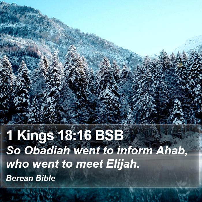 1 Kings 18:16 BSB Bible Study