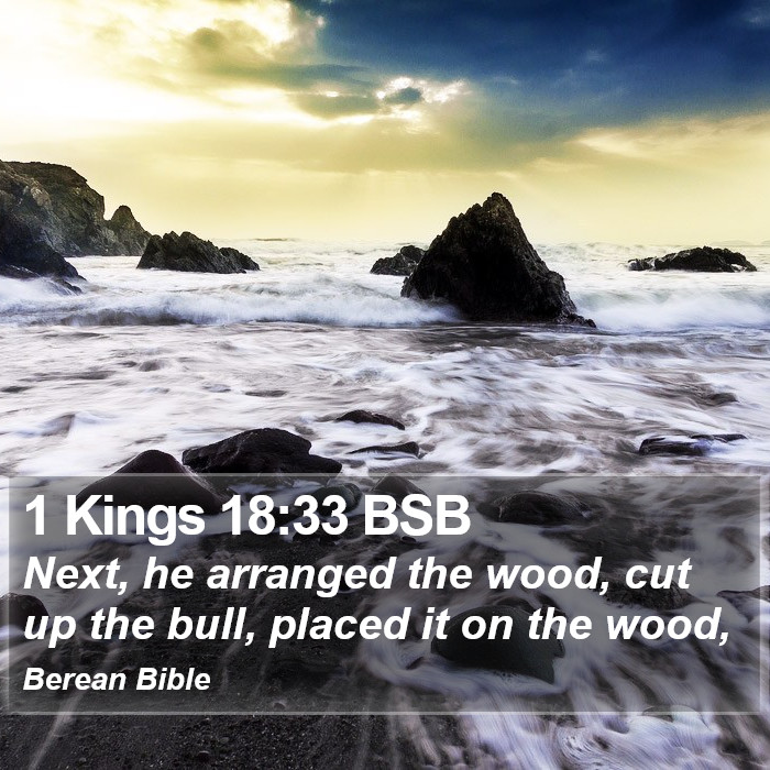 1 Kings 18:33 BSB Bible Study