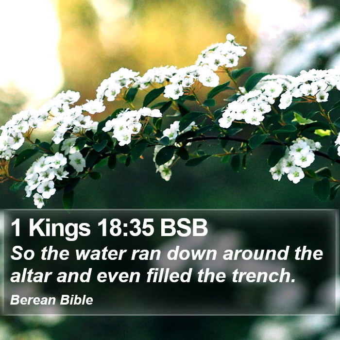 1 Kings 18:35 BSB Bible Study