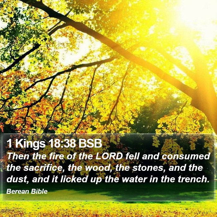 1 Kings 18:38 BSB Bible Study