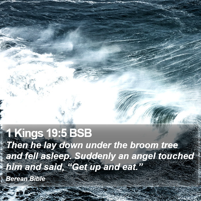 1 Kings 19:5 BSB Bible Study