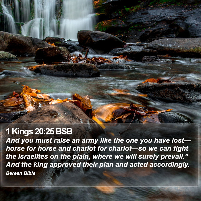 1 Kings 20:25 BSB Bible Study